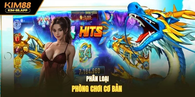Phân loại phòng chơi cơ bản 