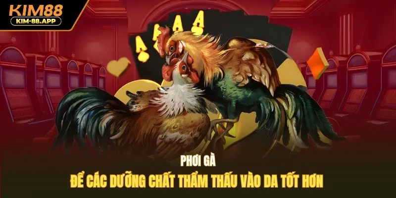 Phơi gà để các dưỡng chất thẩm thấu vào da tốt hơn 